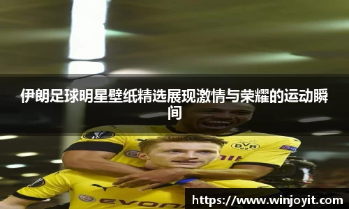 伊朗足球明星壁纸精选展现激情与荣耀的运动瞬间